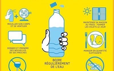 Prévention canicule et grosses chaleurs, la Ville mobilisée