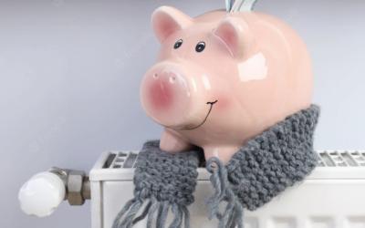 Motion du Conseil municipal contre le coût de l’énergie