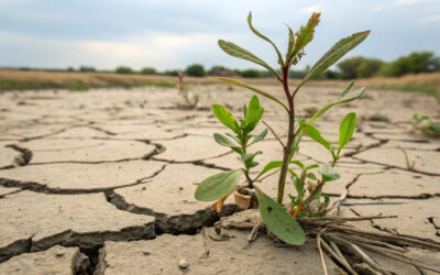 Arrêté préfectoral de restriction de l’usage de l’eau
